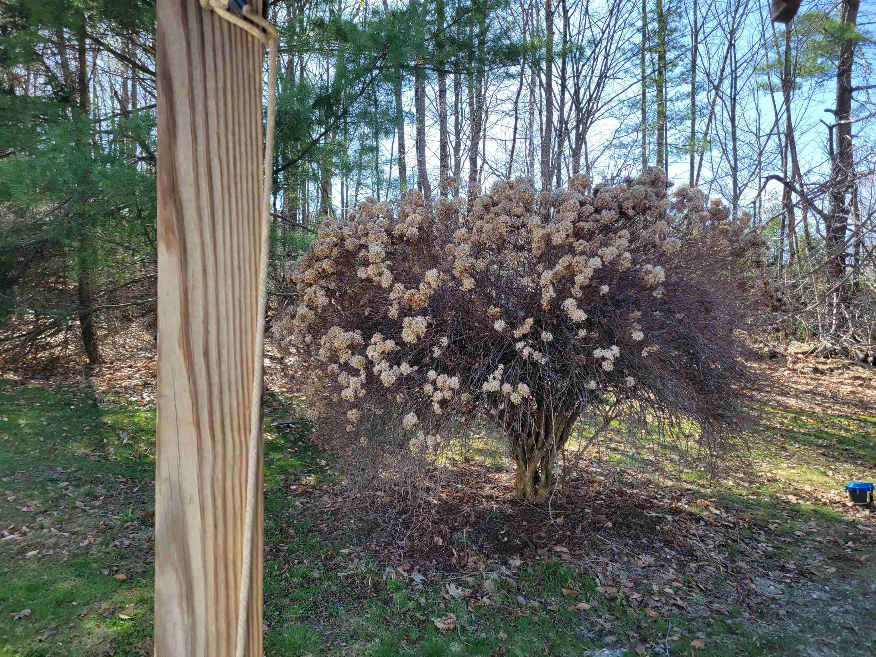 2756 Flamstead Road Chester, VT 05143 - Photo 12 of 22