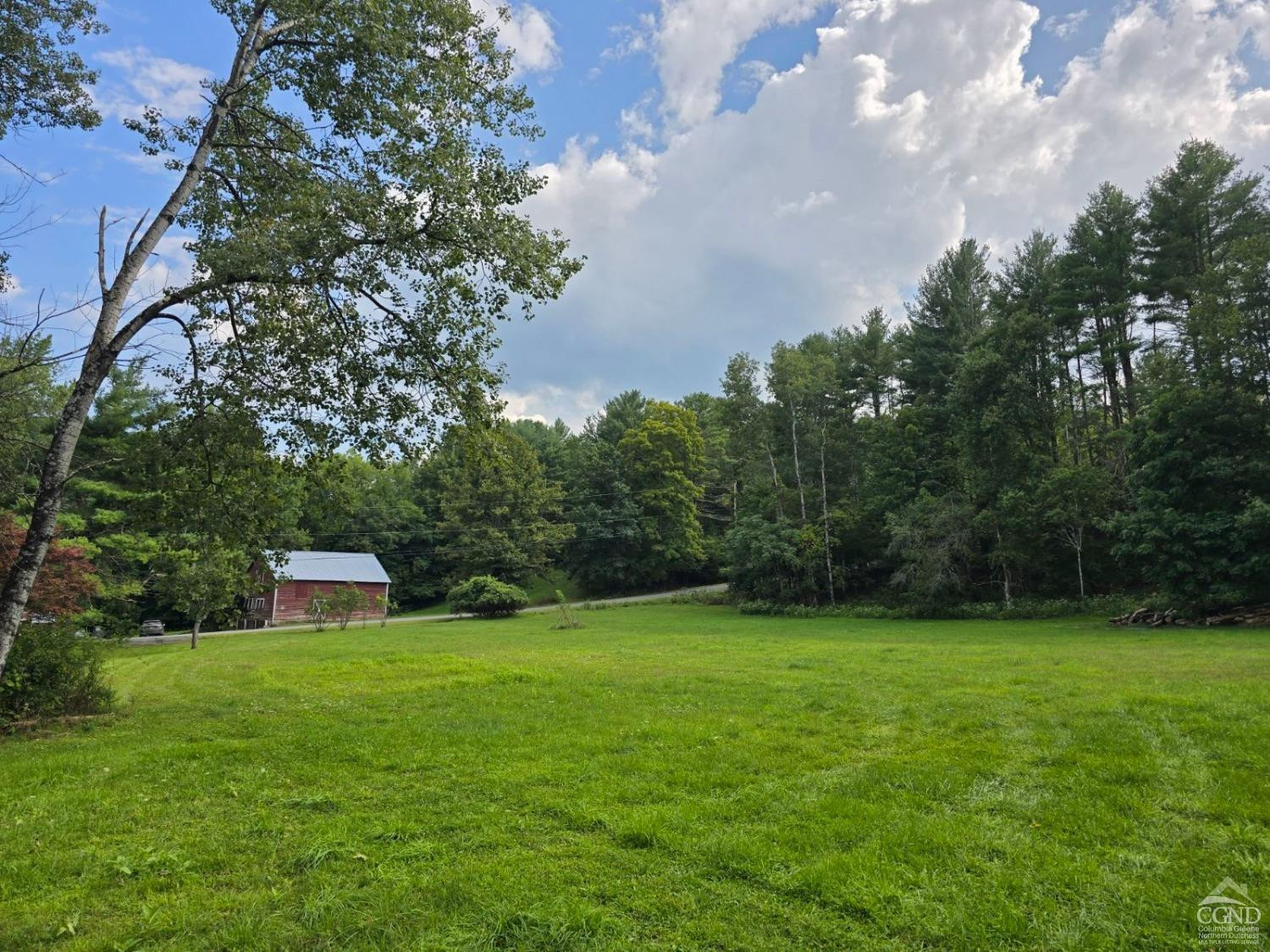 257 Saybrook Valley Road Durham, NY 12120 - Photo 2 of 36 a view of a garden