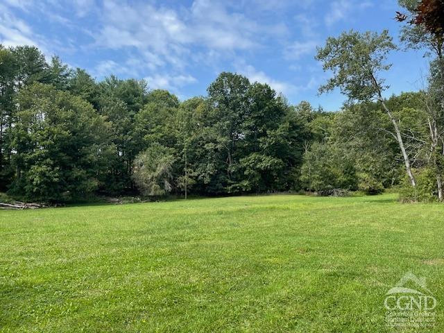 257 Saybrook Valley Road Durham, NY 12120 - Photo 36 of 36 a view of a field with a tree