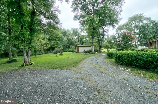 a view of a park with large trees
