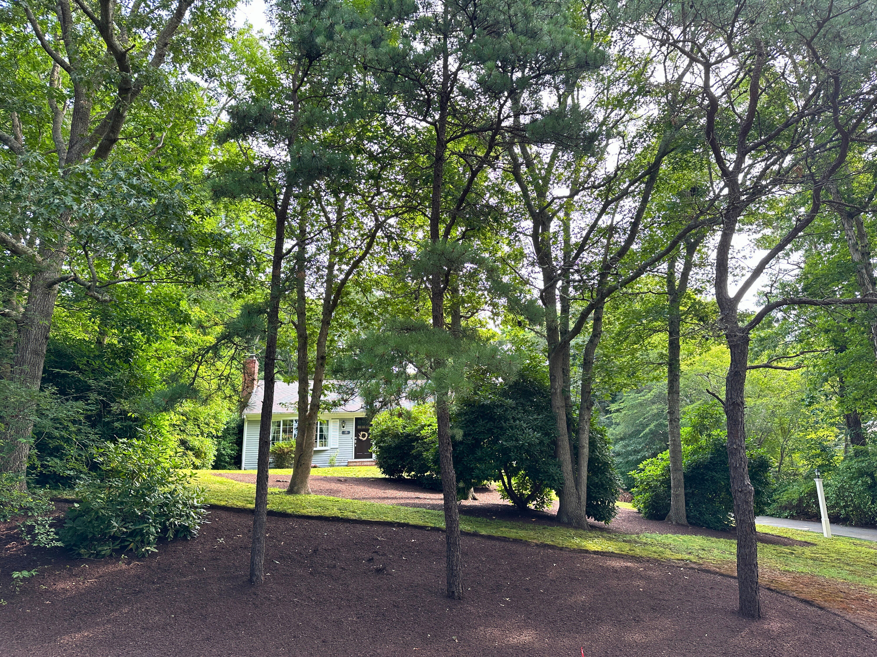 15 Surrey Lane Sandwich, MA 02563 - Photo 8 of 51 a view of a park with large trees