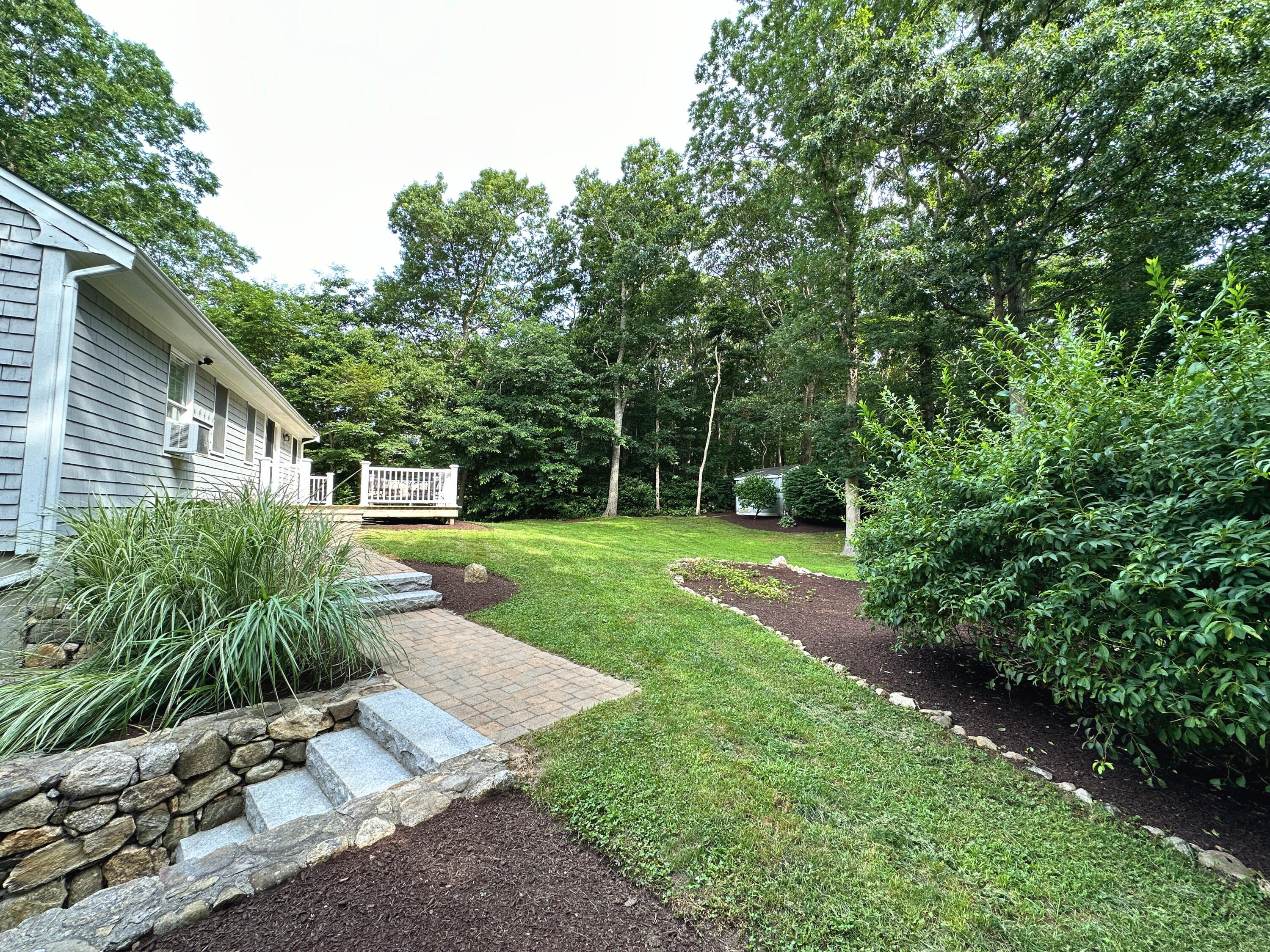 15 Surrey Lane Sandwich, MA 02563 - Photo 9 of 51 a view of a white house with a yard plants and large tree