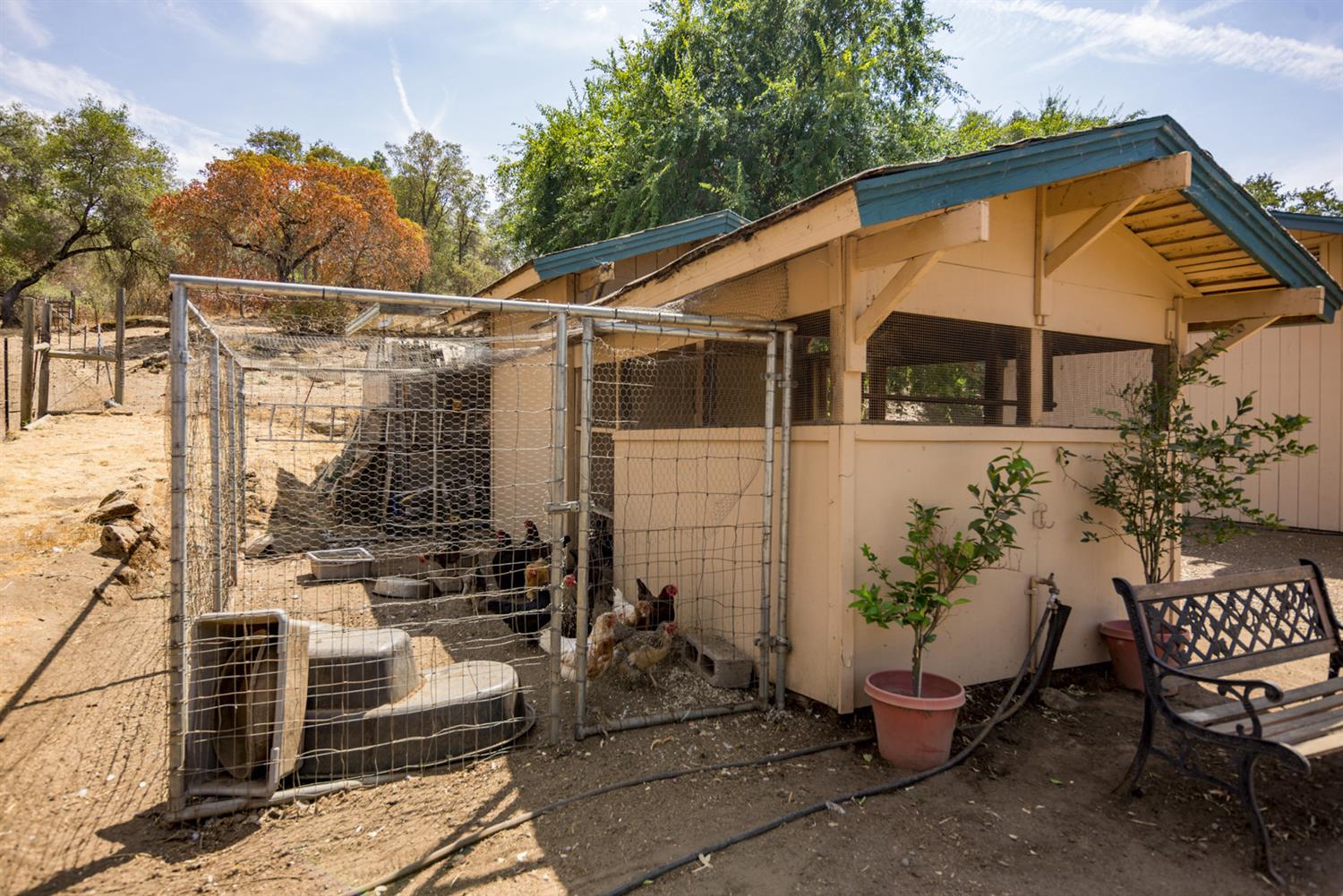 36687 Wells Road Coarsegold, CA 93614 - Photo 26 of 36 Gallery Image 26