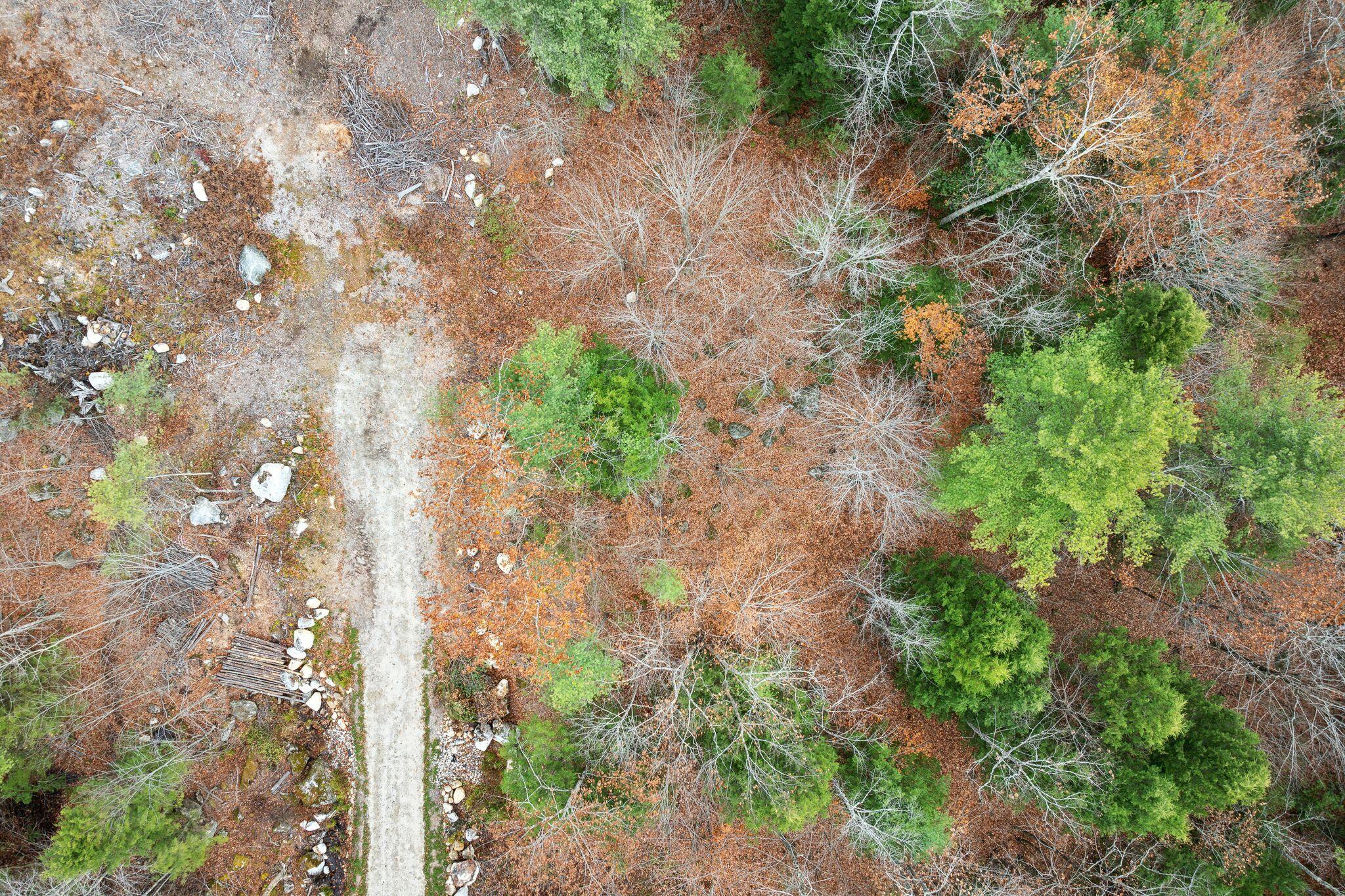 Lot 0 North Raymond Road Gray, ME 04039 - Photo 17 of 17 15_DJI_20241101094909_0286_D