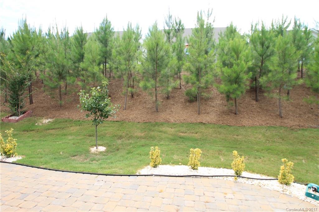 4262 Perth Road Indian Land, SC 29707 - Photo 19 of 24 Gallery Image 19