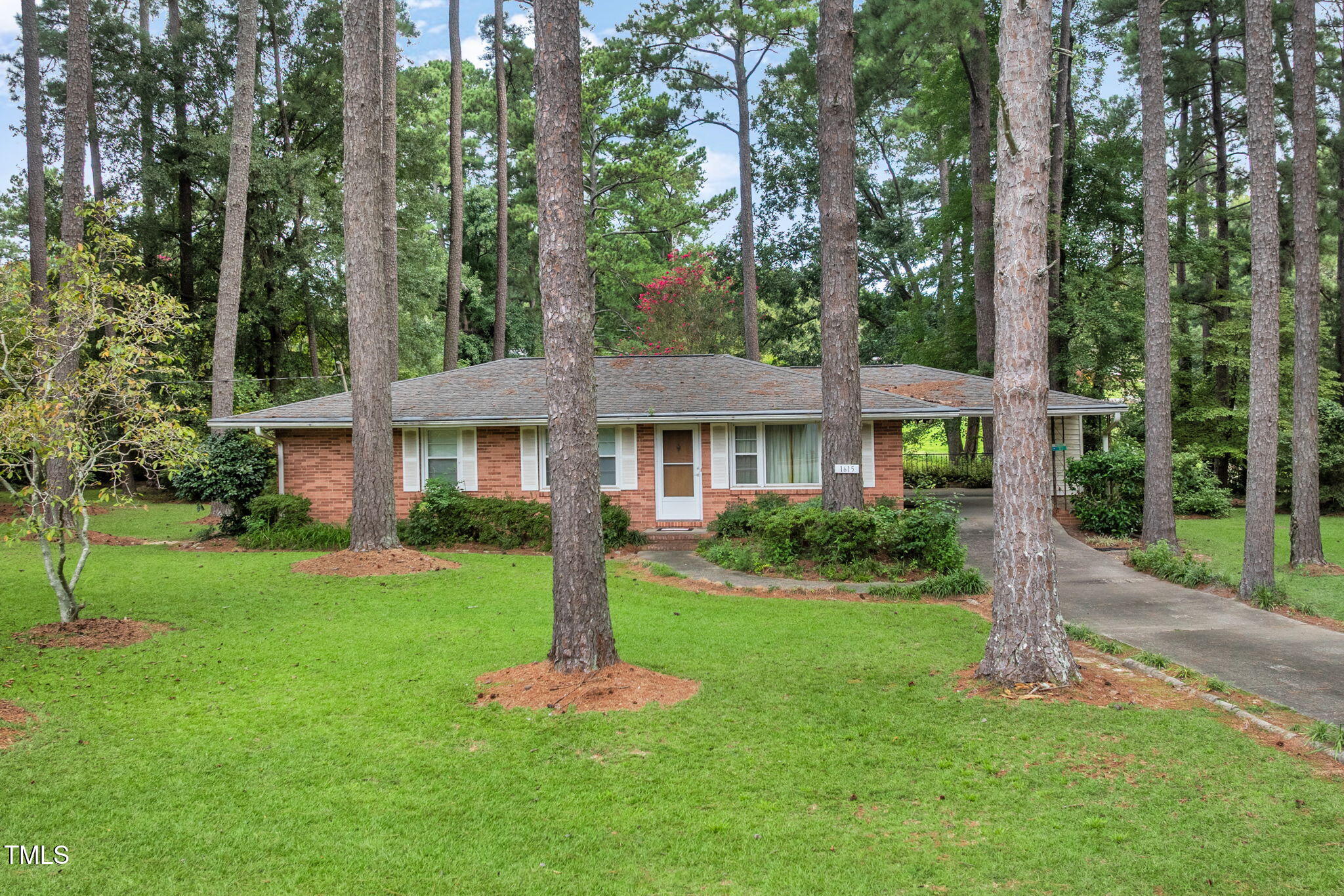 1-web-or-mls-DJI_0541