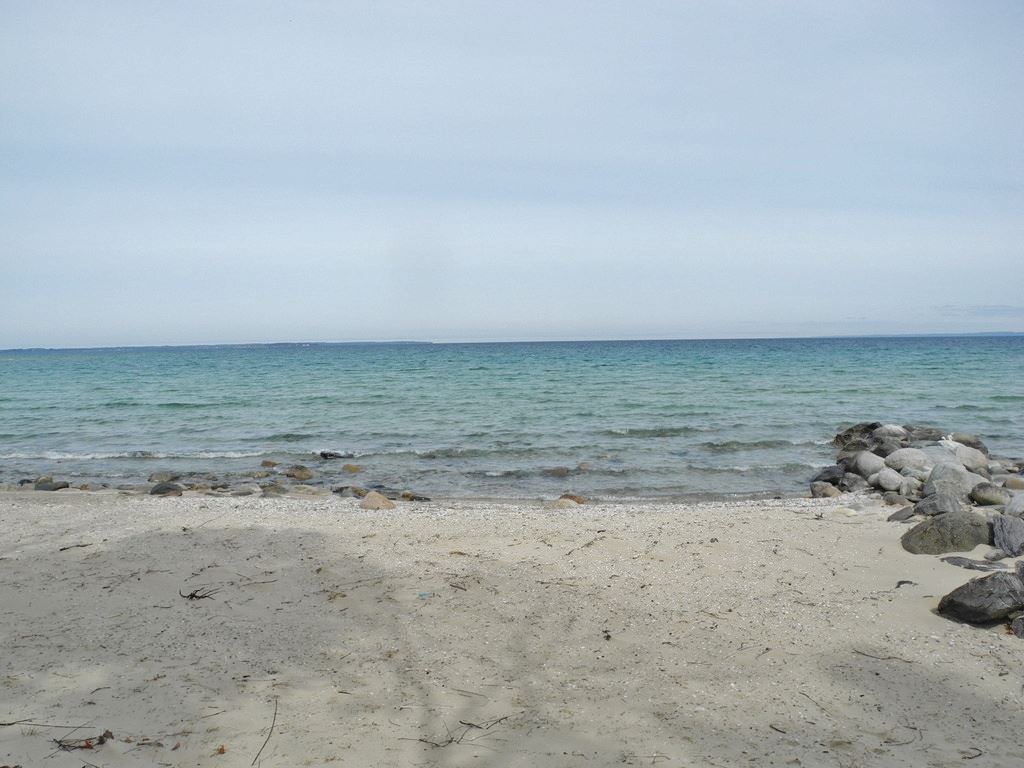 1830272-4.JPG