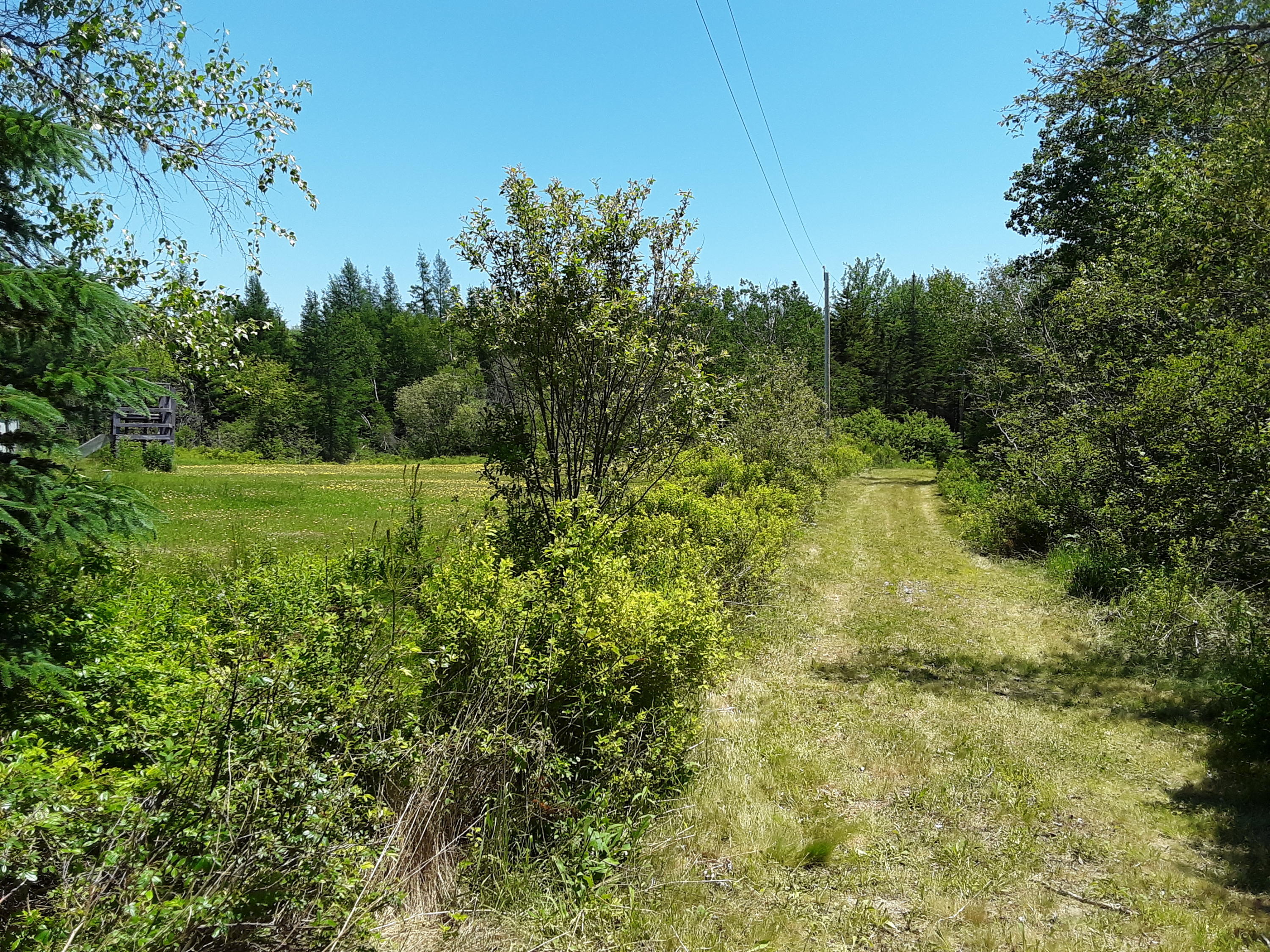 191 Jay Carter Road Blue Hill, ME 04614 - Photo 1 of 4 Moore1