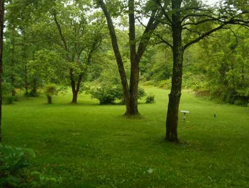 Yard/Garden. 