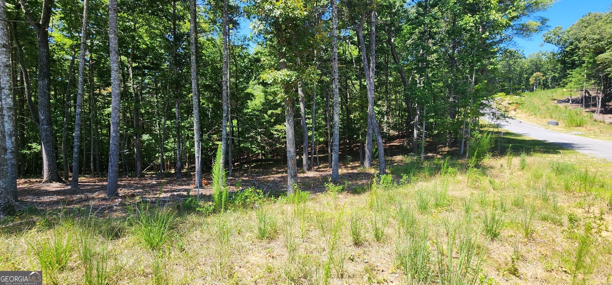 51 Ridge Drive Morganton, GA 30560 - Photo 3 of 6