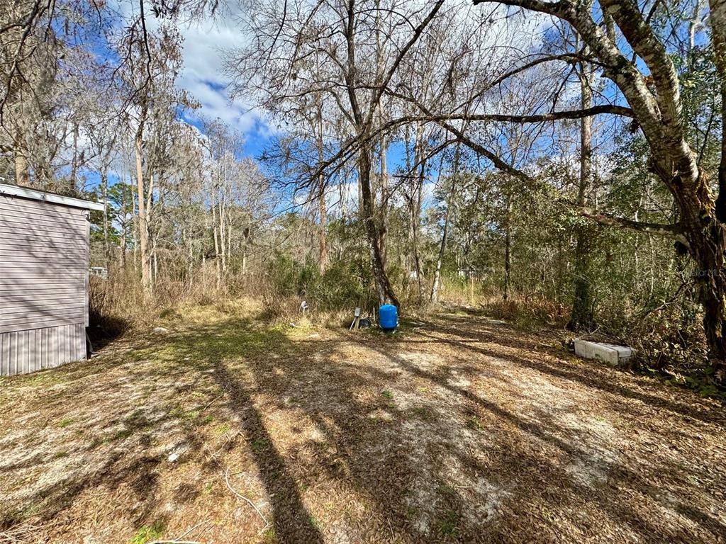 26931 Deacon Loop Zephyrhills, FL 33544 - Photo 3 of 18