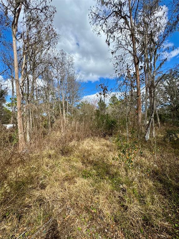 26931 Deacon Loop Zephyrhills, FL 33544 - Photo 4 of 18