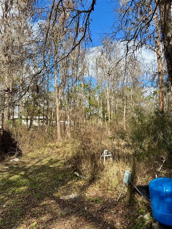 26931 Deacon Loop Zephyrhills, FL 33544 - Photo 5 of 18