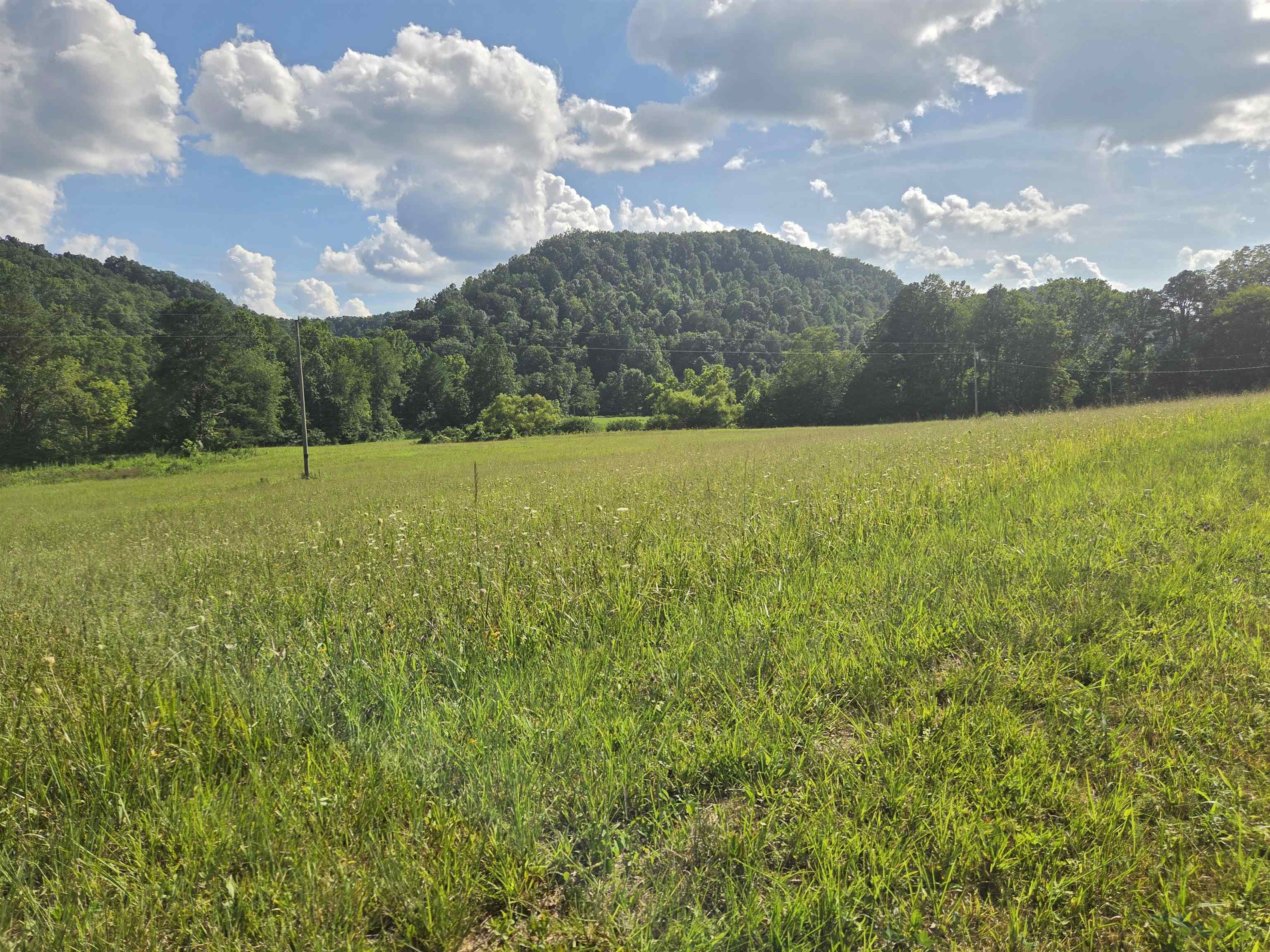 0 Tar Fork Road Vanceburg, KY 41179 - Photo 32 of 33 Gallery Image 32