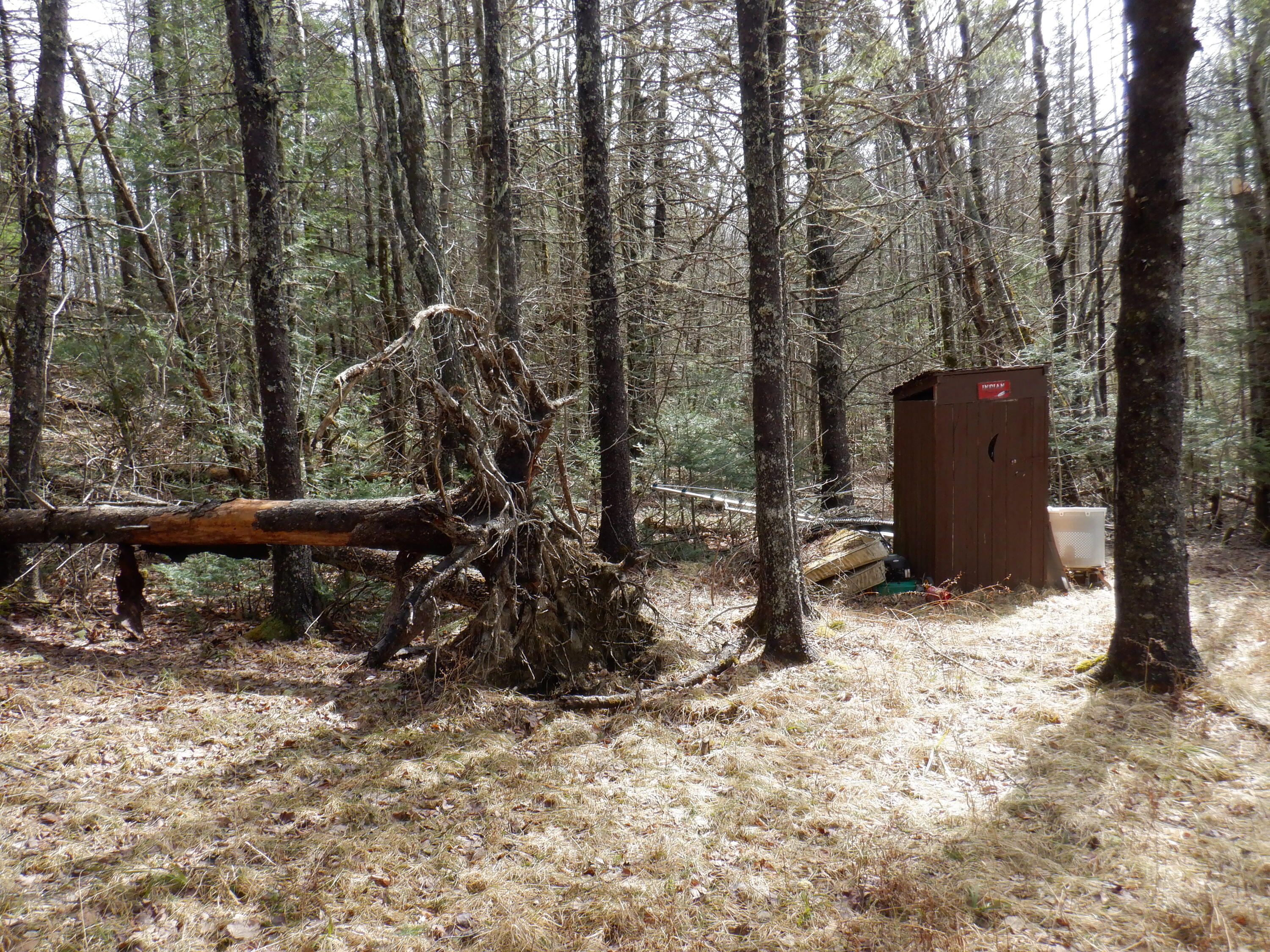 150 Moores Road Springfield, ME 04487 - Photo 25 of 34 DSCF4241