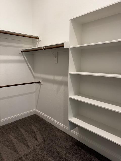1432 Ridge Runner Drive Georgetown, TX 78628 - Photo 16 of 27 Walk in closet with dark carpet and plenty of shelf space
