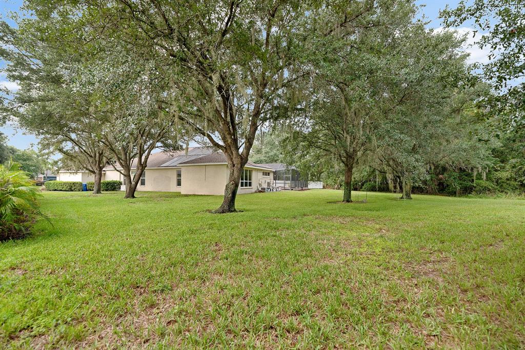 5711 Tanagerside Road Lithia, FL 33547 - Photo 55 of 72