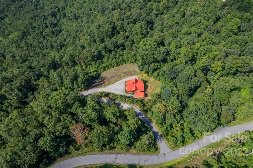 175 Big Rock Road Bostic, NC 28018 - Photo 41 of 45 a view of a yard with plants