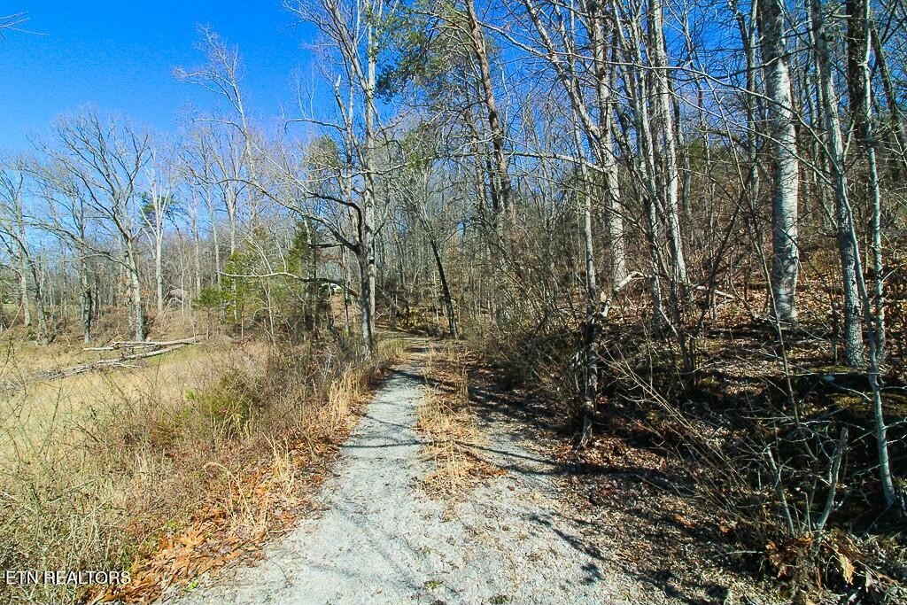 351 Blacks Ferry Road Knoxville, TN 37931 - Photo 20 of 29 Gallery Image 20