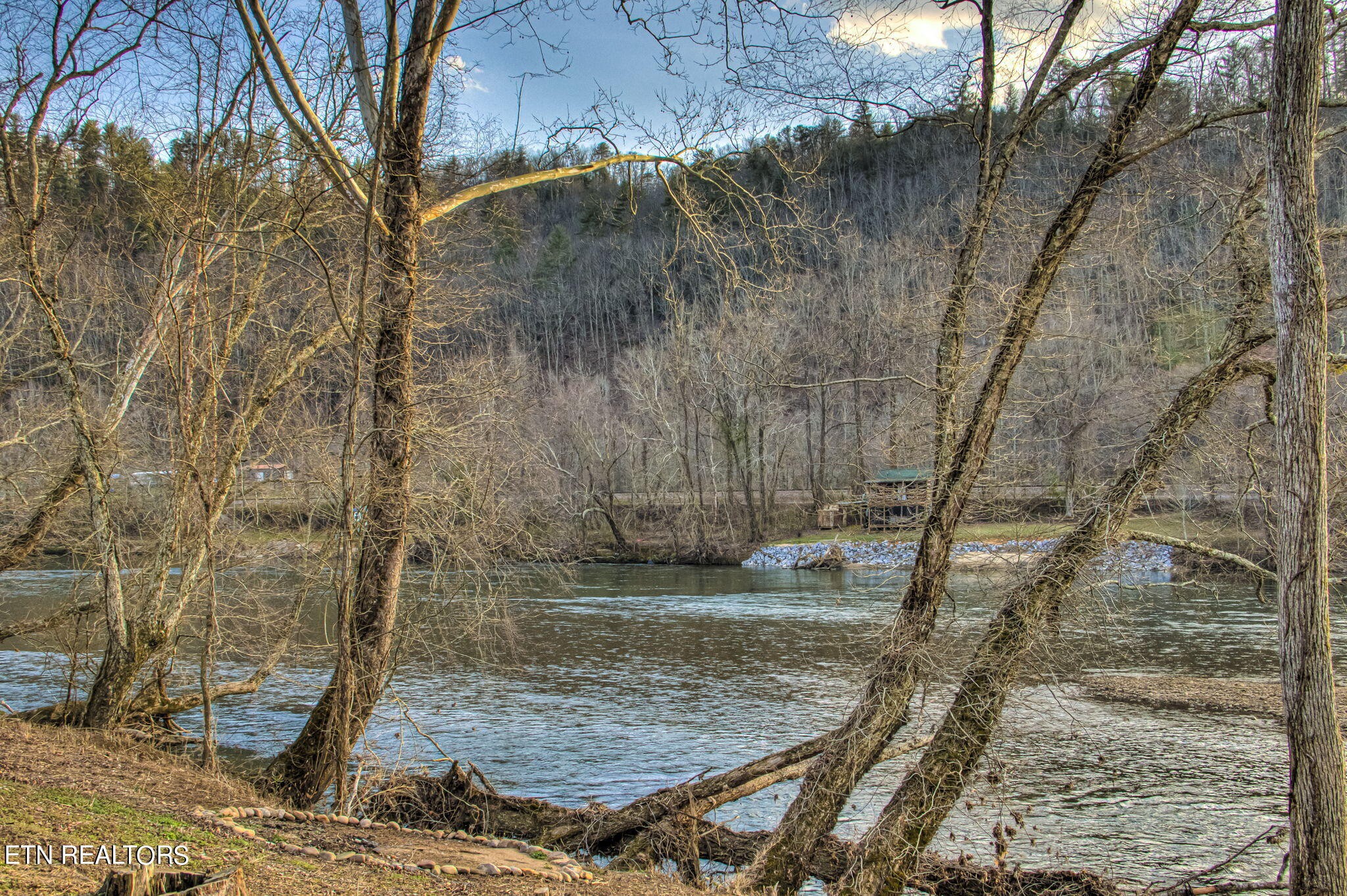 3859 Bear Track Way Del Rio, TN 37727 - Photo 53 of 55 a view of a backyard