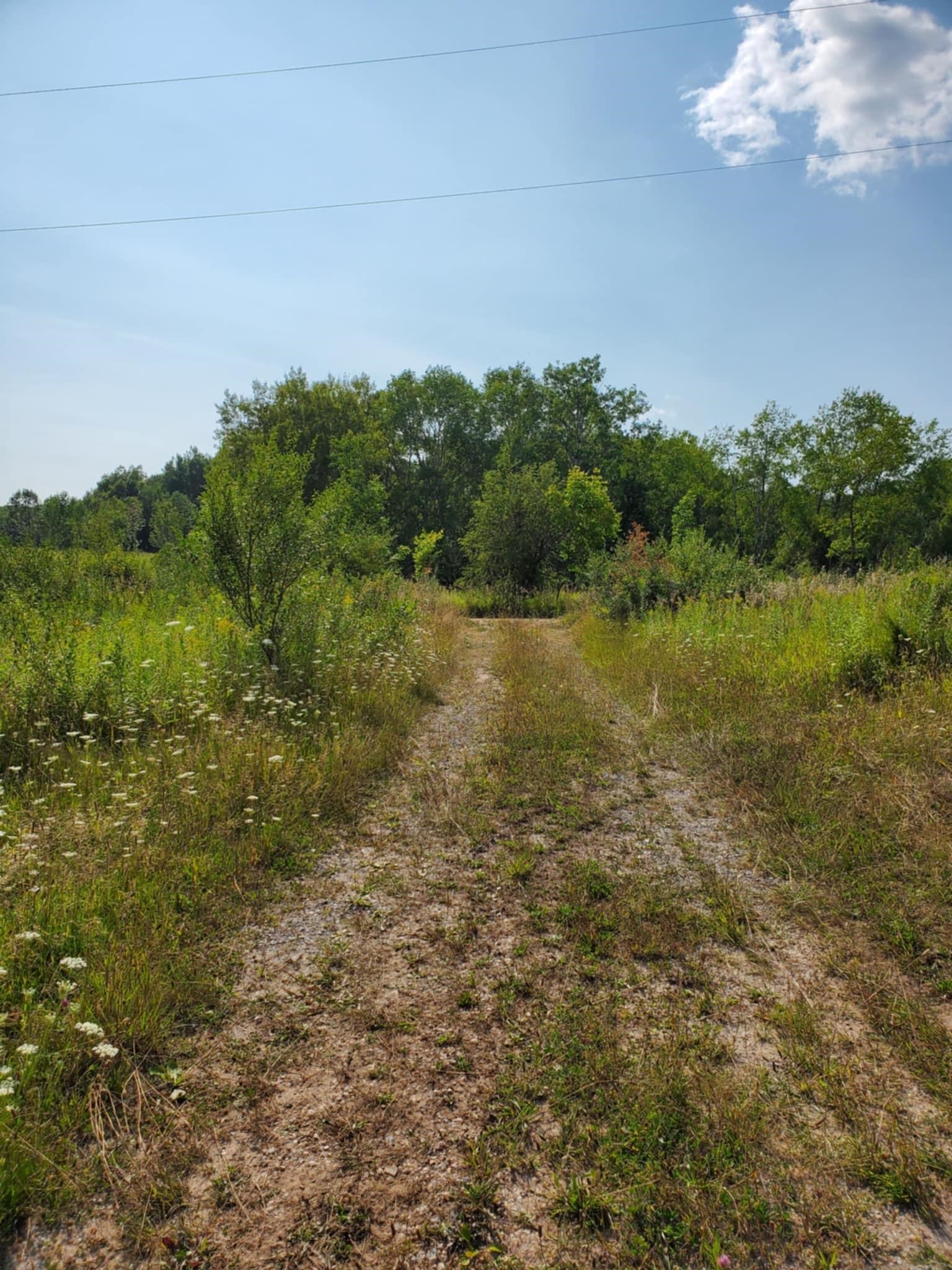 5635 Goodar Road South Branch, MI 48761 - Photo 2 of 20