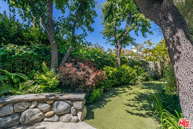 a plant that is in a garden