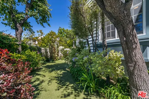 a view of a flower in a garden