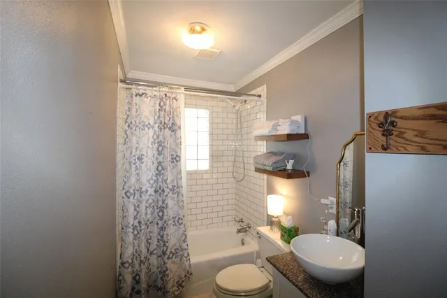 a bathroom with a toilet a sink and shower curtain