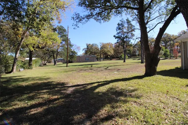 a view of a yard with large trees
