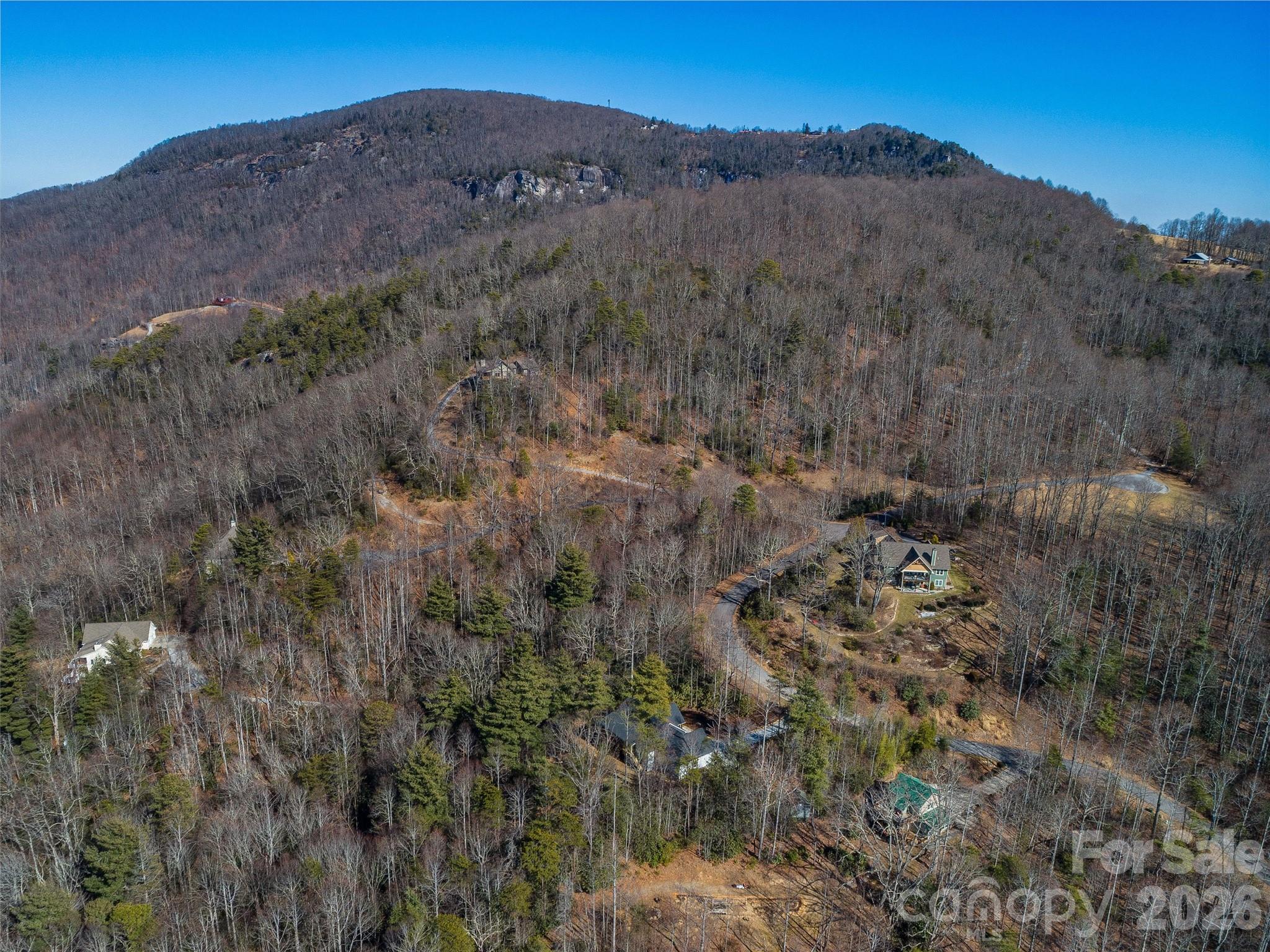 177 Shadow Run Road Hendersonville, NC 28792 - Photo 38 of 44