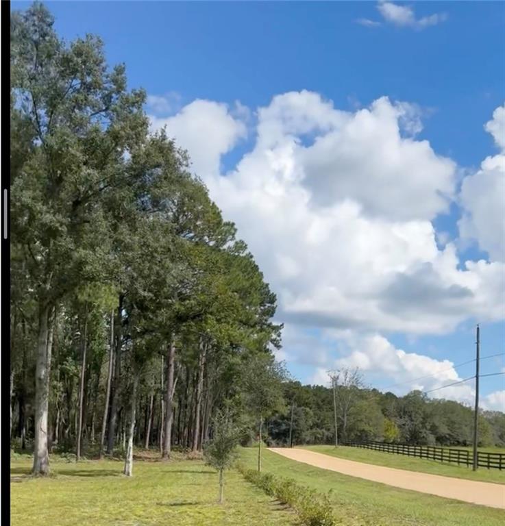 11189 Yates Road Franklinton, LA 70438 - Photo 17 of 19 Gallery Image 17