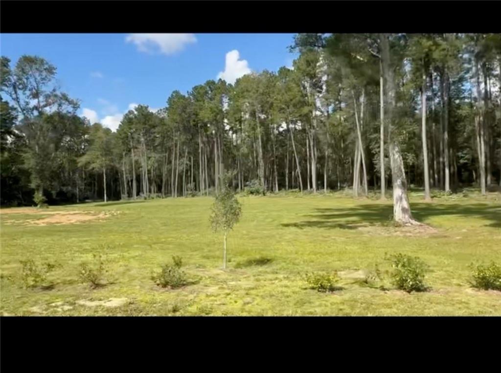 11189 Yates Road Franklinton, LA 70438 - Photo 3 of 19 Gallery Image 3