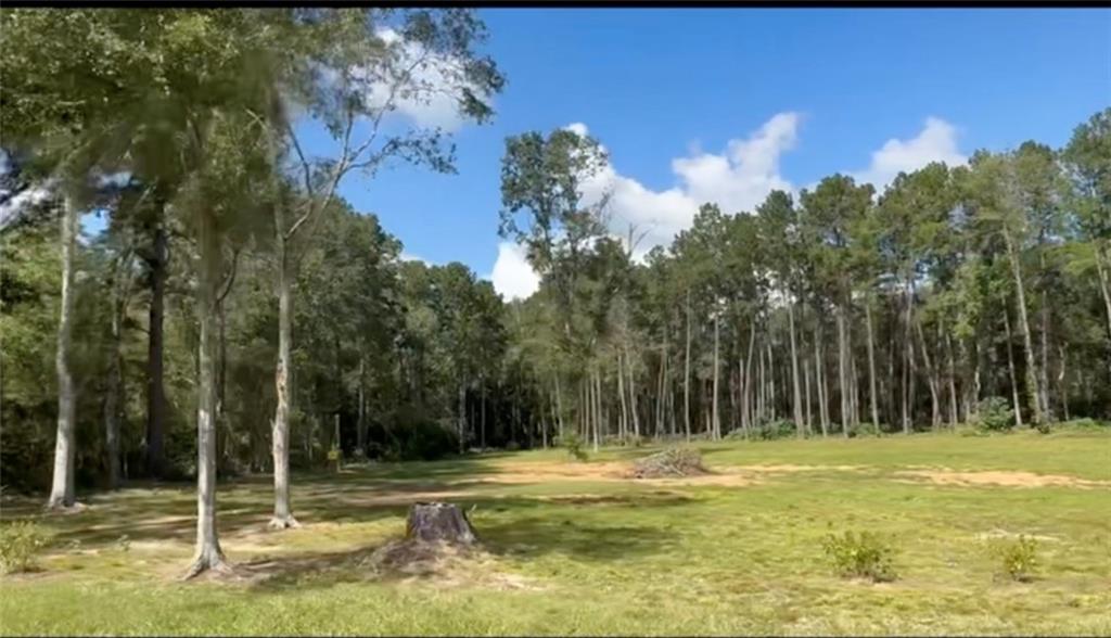 11189 Yates Road Franklinton, LA 70438 - Photo 10 of 19 Gallery Image 10