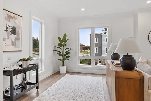 a living room with furniture and a potted plant