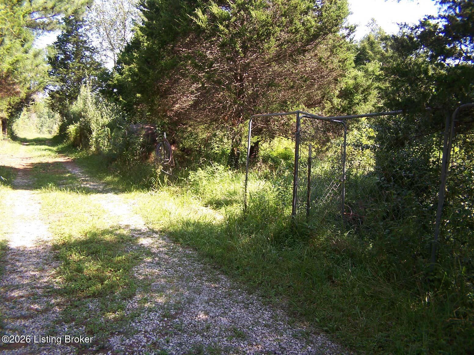 0 Anna Sandhill Road Bowling Green, KY 42101 - Photo 12 of 13 Road coming up the right side of the property from Anna Sandhill to the cleared area at the top.
