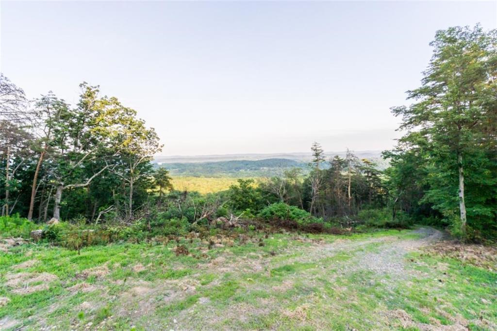 2400 Shinbone Ridge Road LaFayette, GA 30728 - Photo 12 of 29 a view of a forest with trees in front of it