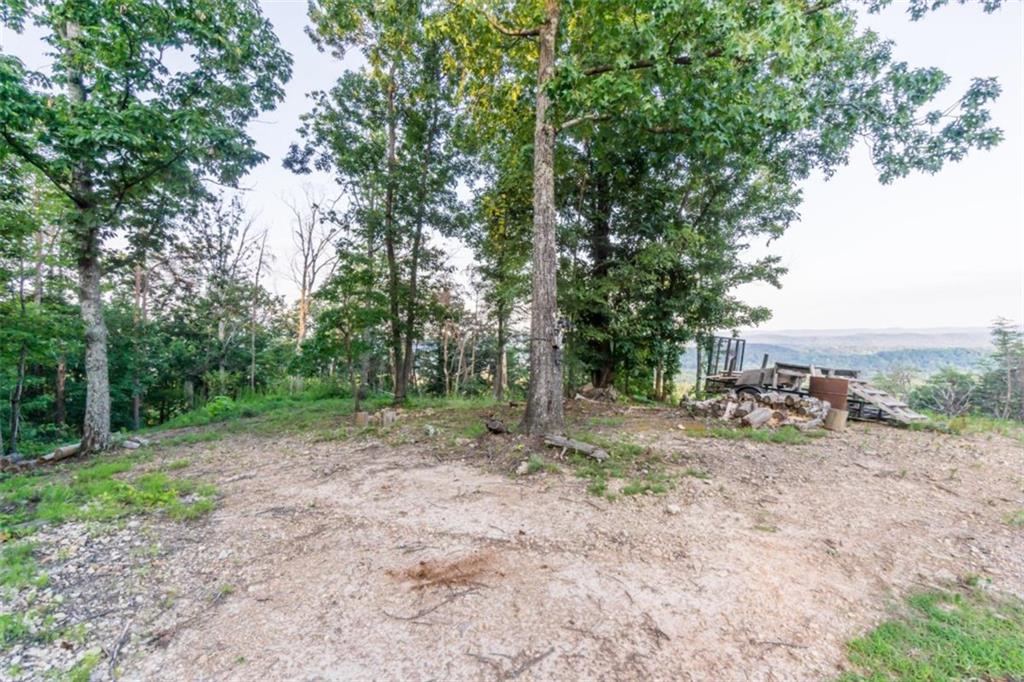 2400 Shinbone Ridge Road LaFayette, GA 30728 - Photo 13 of 29 a view of a out door space