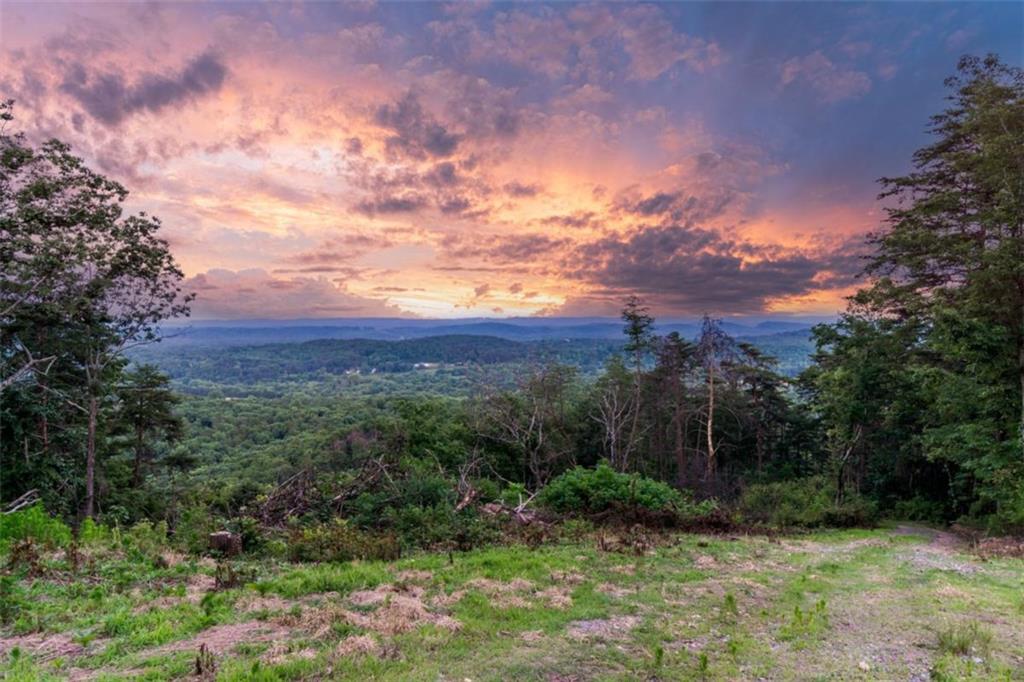 2400 Shinbone Ridge Road LaFayette, GA 30728 - Photo 24 of 29 a view of a yard with a tree