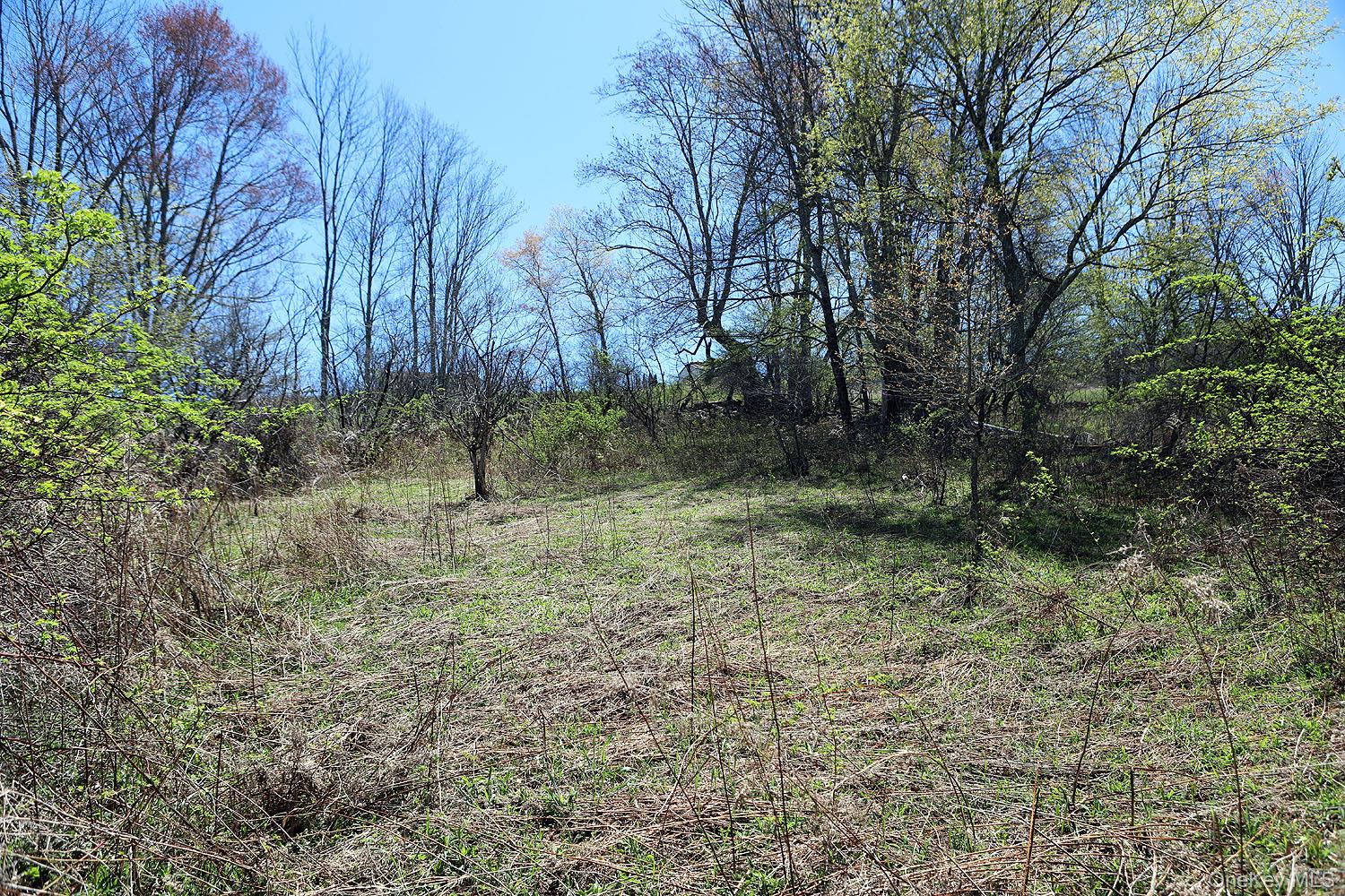Hubert Road Jeffersonville, NY 12748 - Photo 8 of 19 a backyard of a house with plants and trees