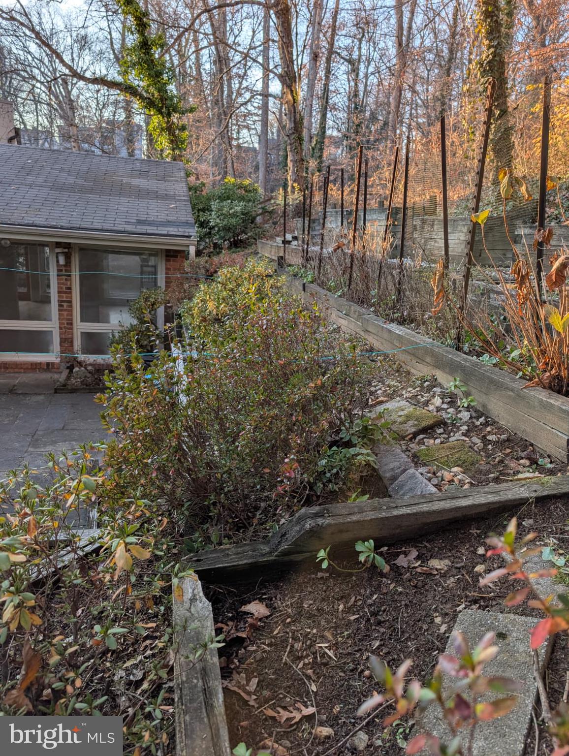 6705 Goldsboro Road Bethesda, MD 20817 - Photo 44 of 60 a view of a yard with plants