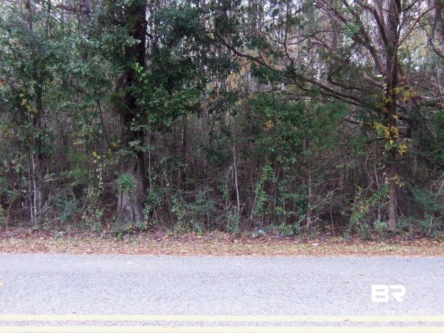 0 Rice Creek Road Stockton, AL 36579 - Photo 2 of 2