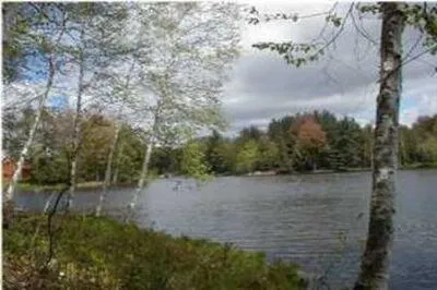 $17,900 | Vl Lot 811 Vl Drive, Evart, MI 49631