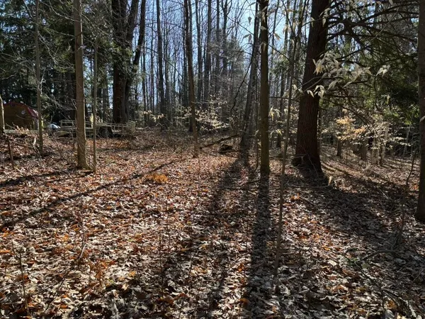 $17,900 | Vl Lot 811 Vl Drive, Evart, MI 49631