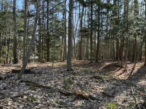 $17,900 | Vl Lot 811 Vl Drive, Evart, MI 49631
