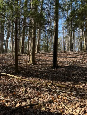 $17,900 | Vl Lot 811 Vl Drive, Evart, MI 49631