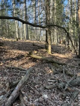 $17,900 | Vl Lot 811 Vl Drive, Evart, MI 49631