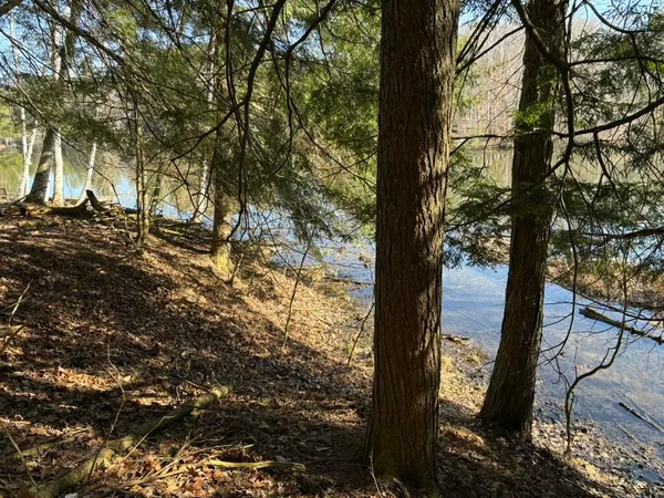 $17,900 | Vl Lot 811 Vl Drive, Evart, MI 49631