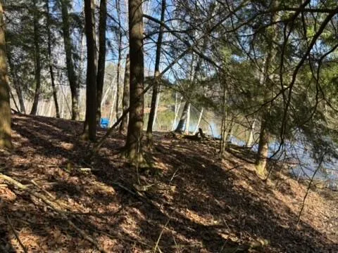 $17,900 | Vl Lot 811 Vl Drive, Evart, MI 49631