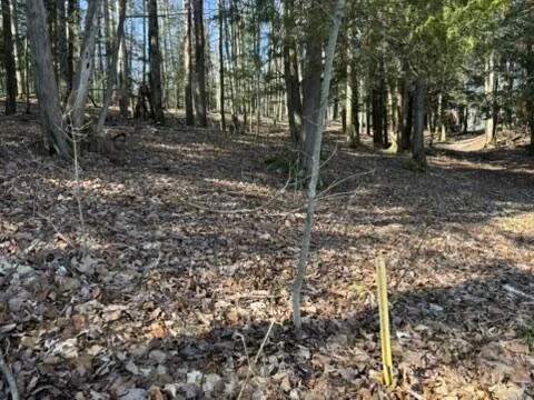 $17,900 | Vl Lot 811 Vl Drive, Evart, MI 49631