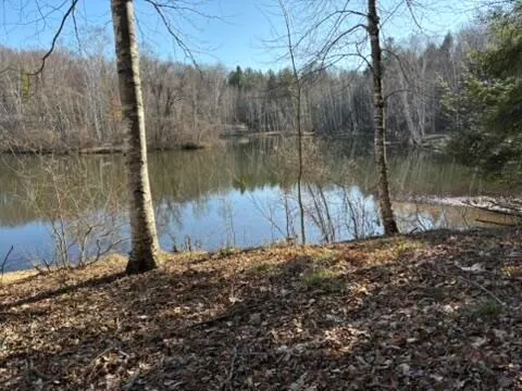 $17,900 | Vl Lot 811 Vl Drive, Evart, MI 49631